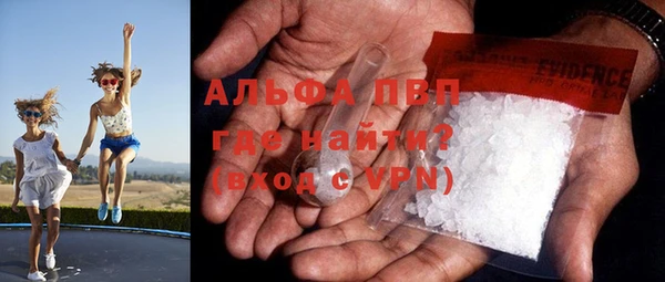 трава Иннополис