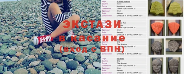 ПСИЛОЦИБИНОВЫЕ ГРИБЫ Инта