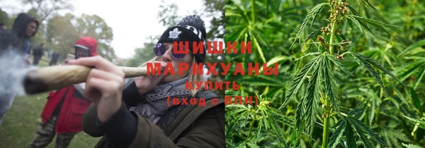 ПСИЛОЦИБИНОВЫЕ ГРИБЫ Инта