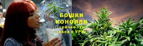 ПСИЛОЦИБИНОВЫЕ ГРИБЫ Инта