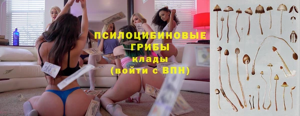 гашиш Инсар