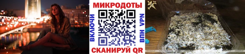 Псилоцибиновые грибы Psilocybe  Купить где  Кострома 